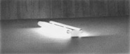 z.t.(TL) 2007 piezoprint 61x145cm